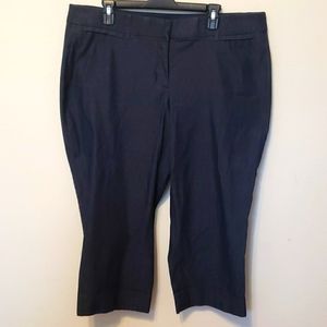 Dark Blue Capris